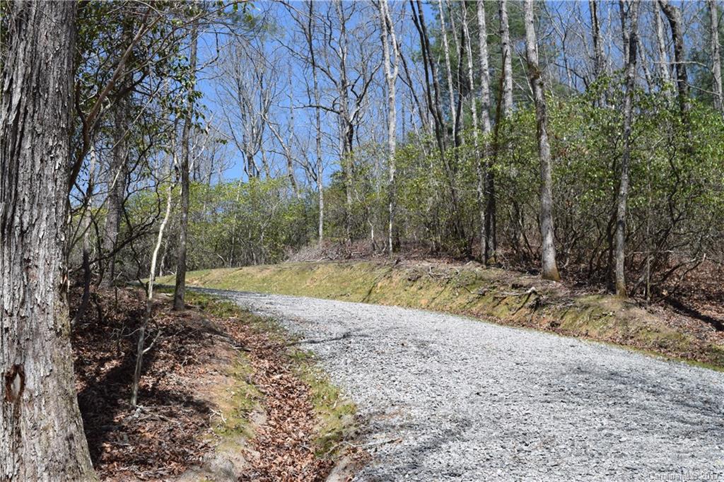3307 East Fork Road, Unit 6 Brevard, NC 28712 - Photo 8 of 11 Gallery Image 8
