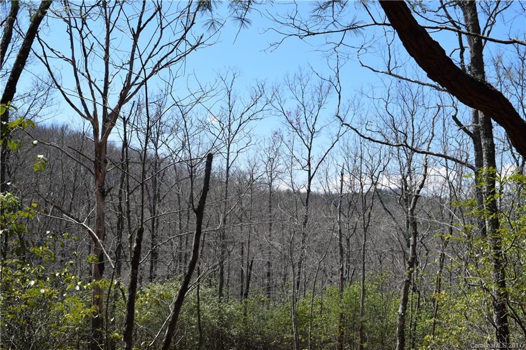 3307 East Fork Road, Unit 6 Brevard, NC 28712 - Photo 9 of 11 Gallery Image 9