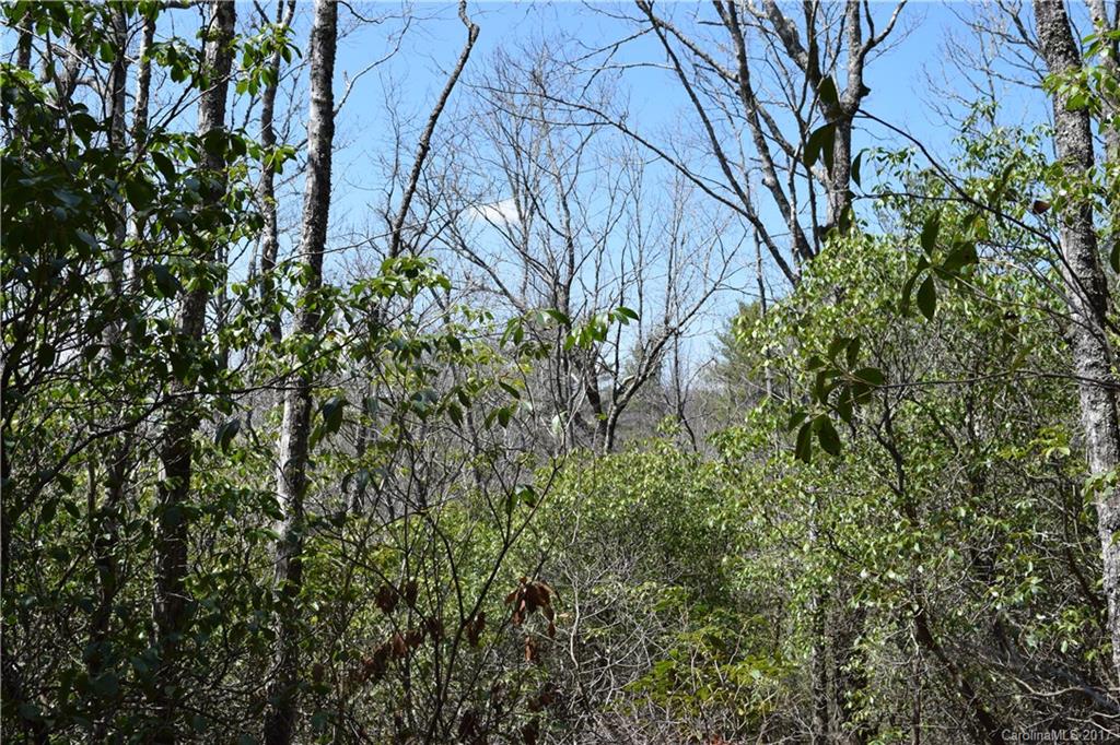 3307 East Fork Road, Unit 6 Brevard, NC 28712 - Photo 10 of 11 Gallery Image 10