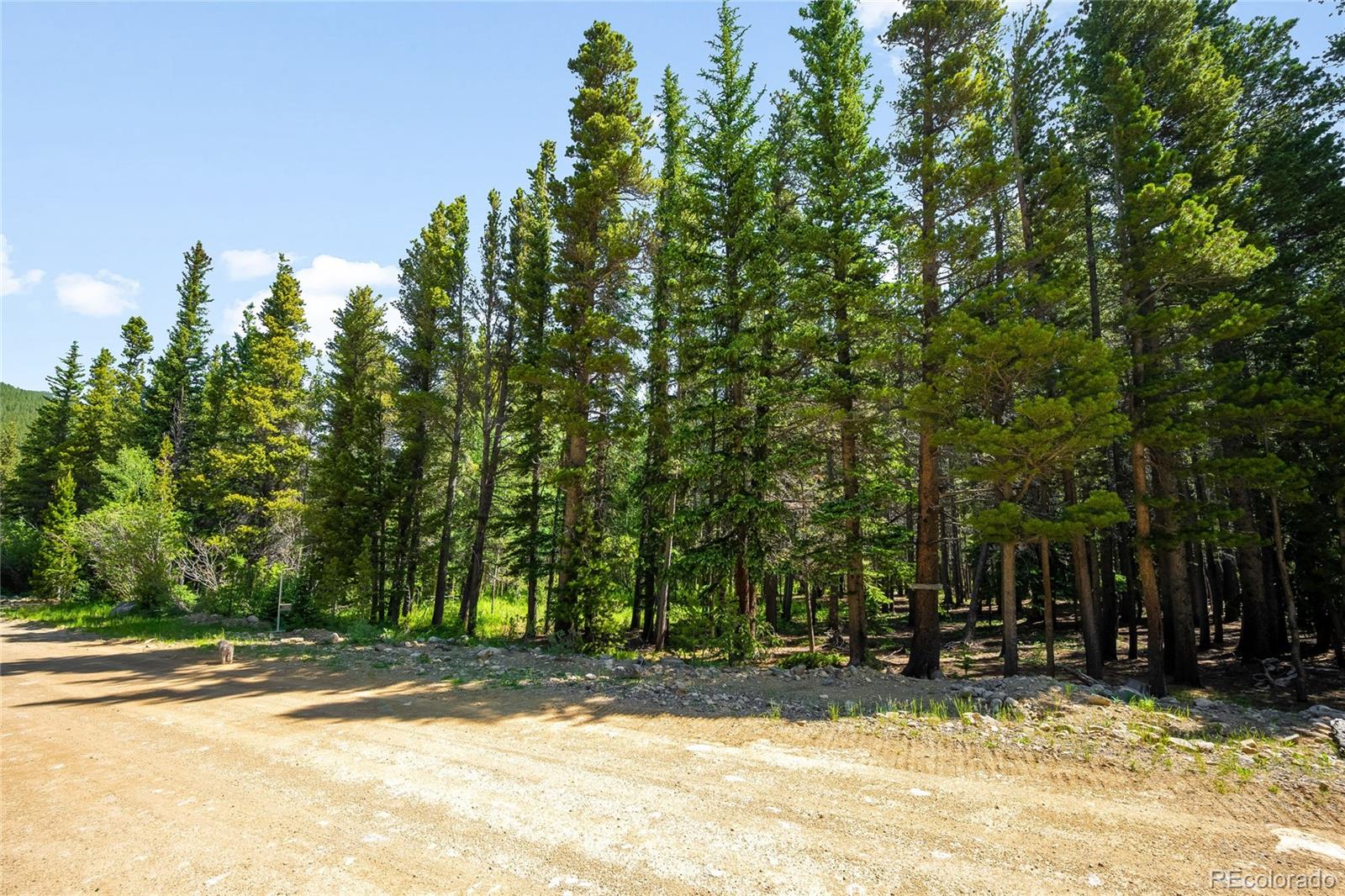 112 Deer Road Idaho Springs, CO 80452 - Photo 2 of 12 a view of a house with a yard