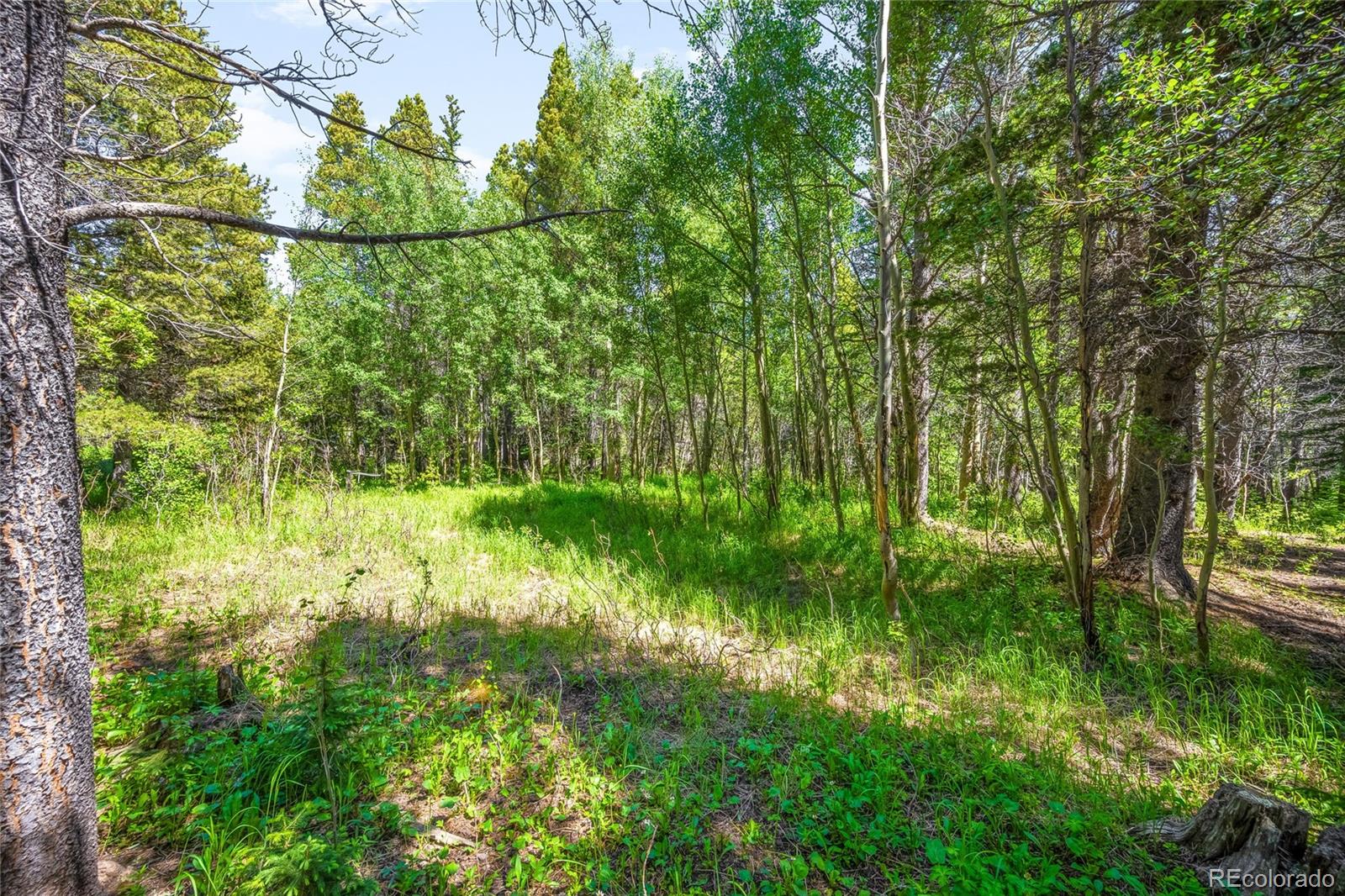 112 Deer Road Idaho Springs, CO 80452 - Photo 3 of 12 a view of a garden