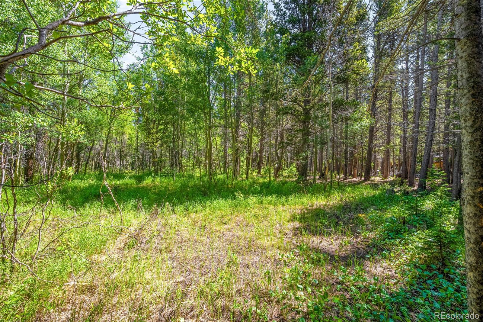 112 Deer Road Idaho Springs, CO 80452 - Photo 4 of 12 a backyard of a house with lots of green space
