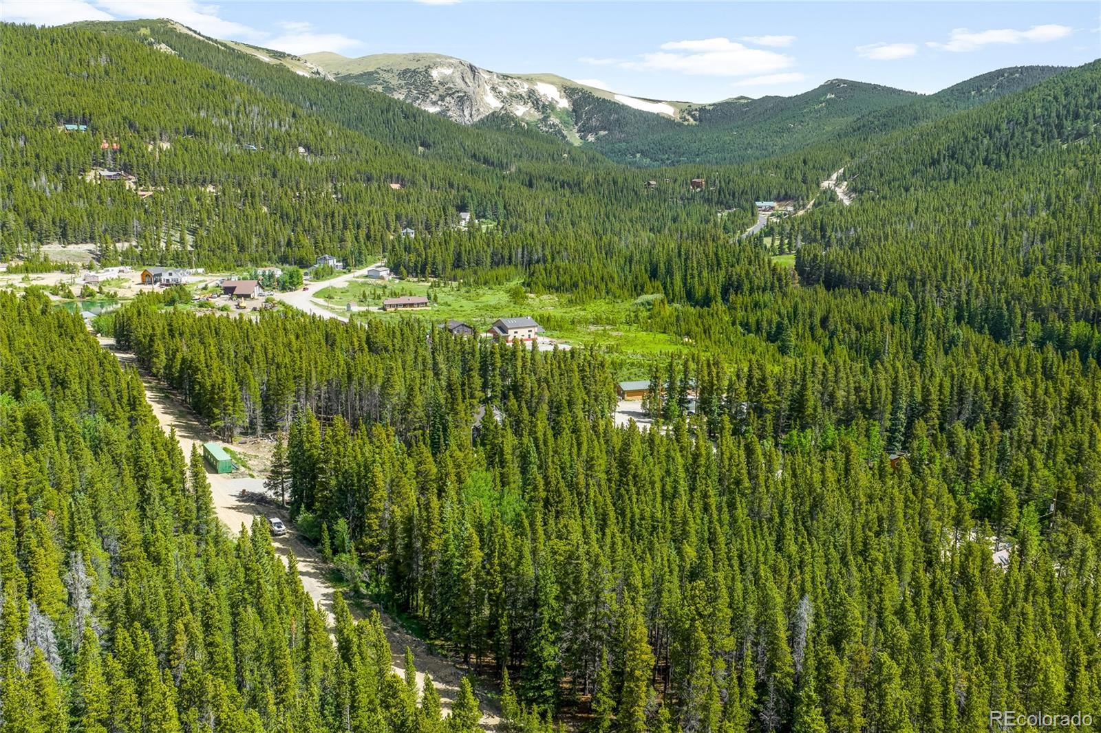 112 Deer Road Idaho Springs, CO 80452 - Photo 8 of 12 a view of a lush green hillside and houses
