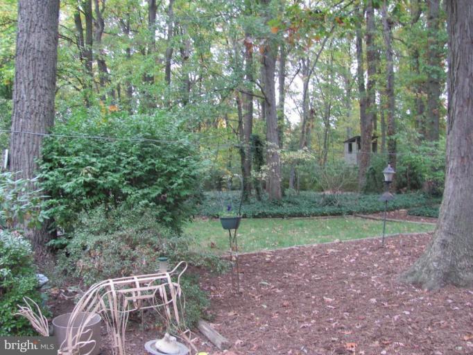 7109 Devonshire Road Alexandria, VA 22307 - Photo 9 of 17 Garden
