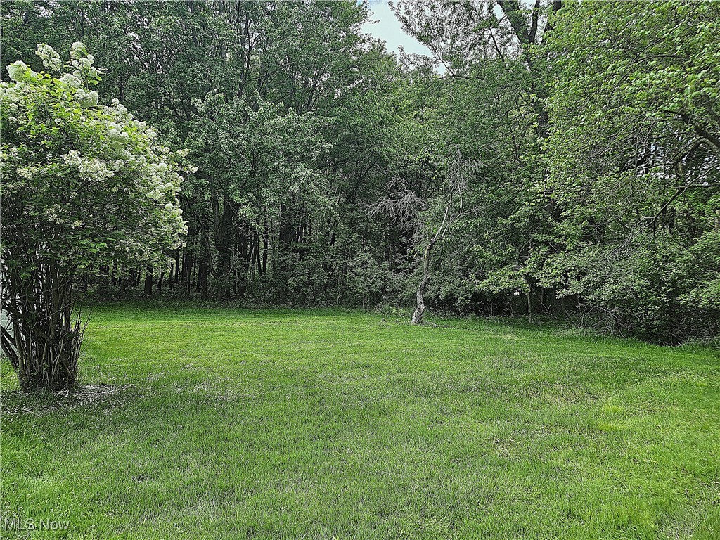1890 Mathews Road Youngstown, OH 44514 - Photo 22 of 25 View of green lawn surrounded by trees.
