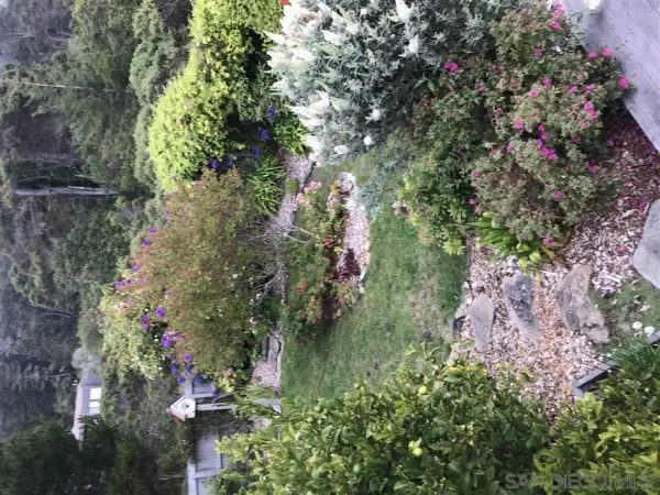 $5,000 | 1586 De Anza Drive, Borrego Springs, CA 92004