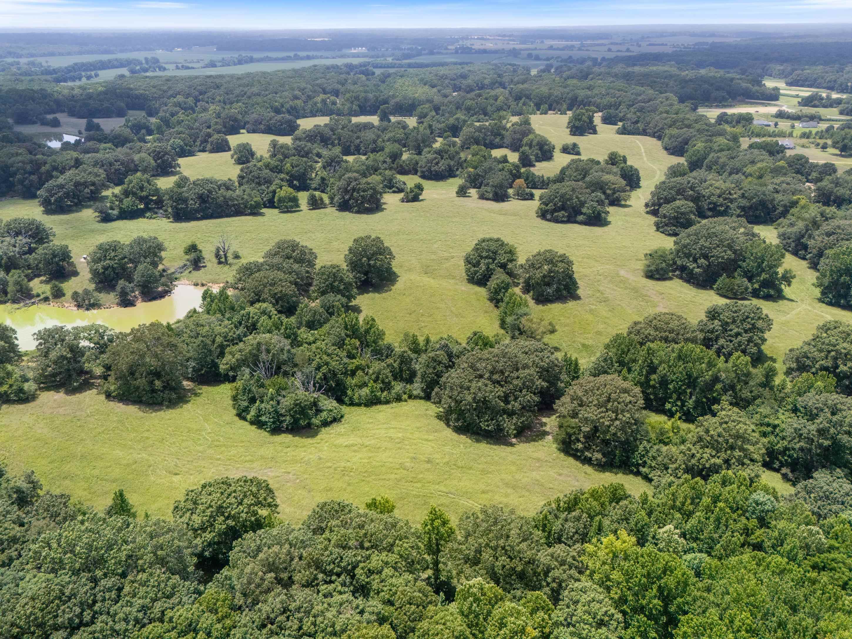 1150 Veazey Road Coldwater, MS 38618 - Photo 9 of 31 Gallery Image 9