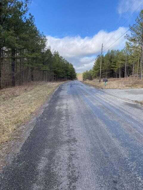 3 Thomas Springs Road Crossville, TN 38572 - Photo 7 of 7 a view of a yard with plants and a large tree