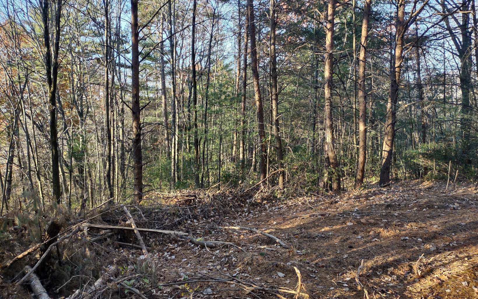 39 Gobbler Knob Road Ellijay, GA 30540 - Photo 4 of 4 Additional View
