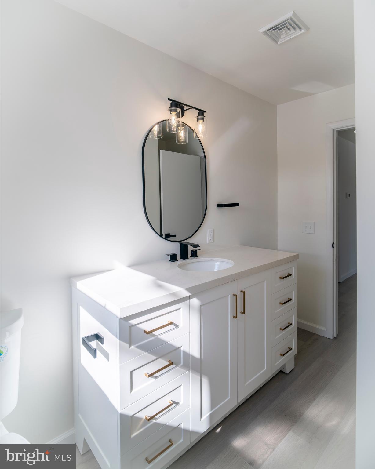 6152 Pigeon Hill Road Spring Grove, PA 17362 - Photo 19 of 35 a bathroom with a sink vanity and a mirror