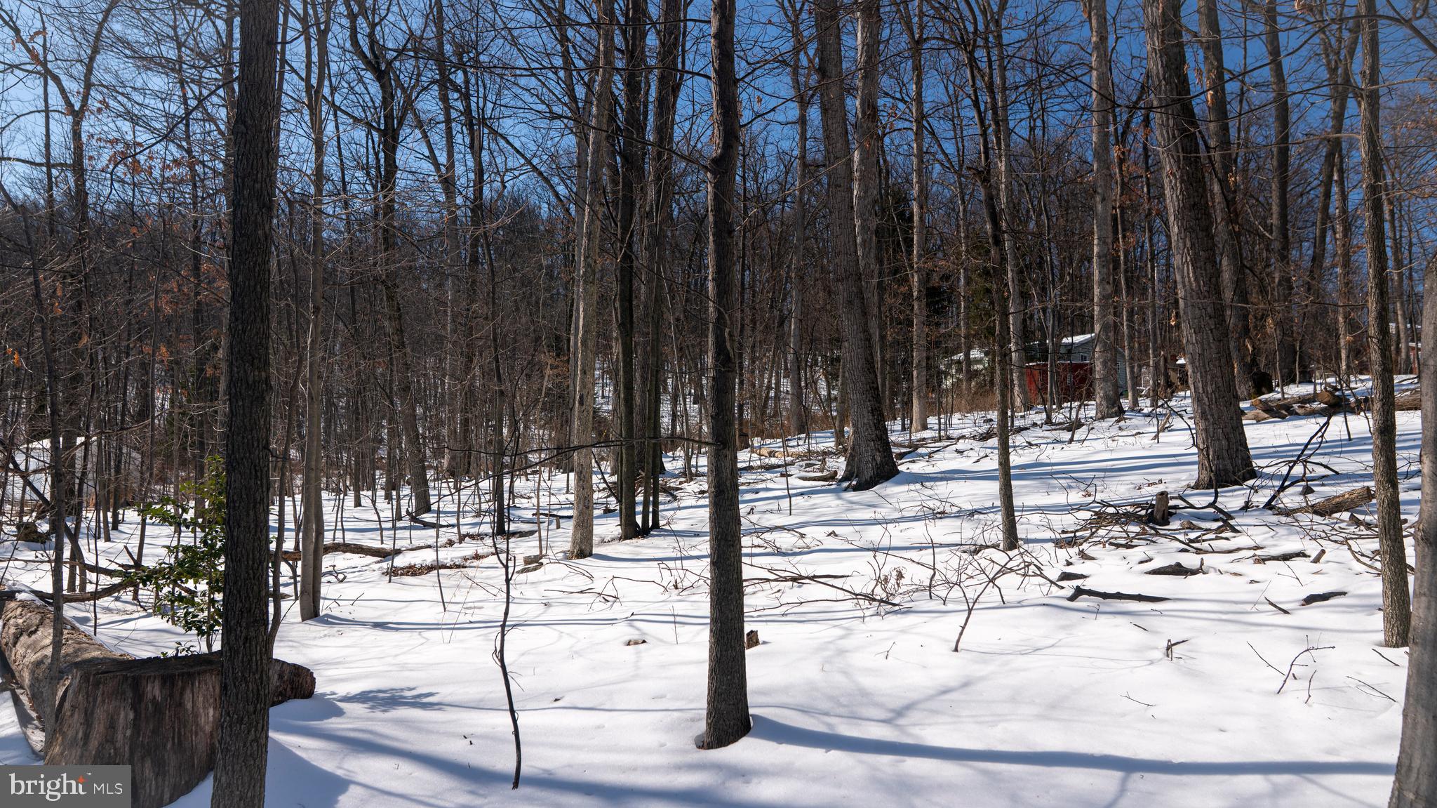 6152 Pigeon Hill Road Spring Grove, PA 17362 - Photo 33 of 35 a view of a backyard of the house