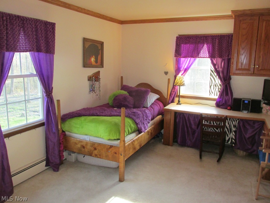 16694 Heiser Road Berlin Center, OH 44401 - Photo 10 of 23 Gallery Image 10