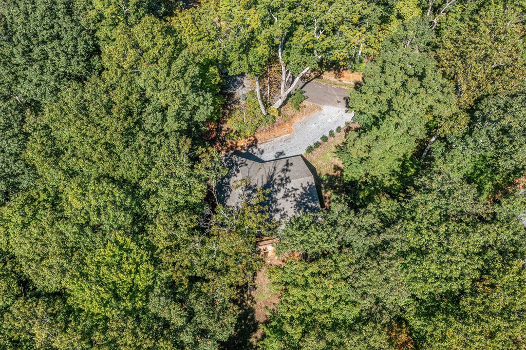 593 North Moreland Drive Blue Ridge, GA 30513 - Photo 30 of 35 Gallery Image 30