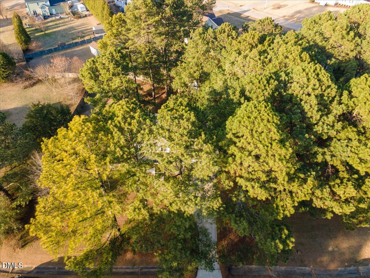 6512 Cablewood Drive Raleigh, NC 27603 - Photo 38 of 41 a view of a yard with plants and trees