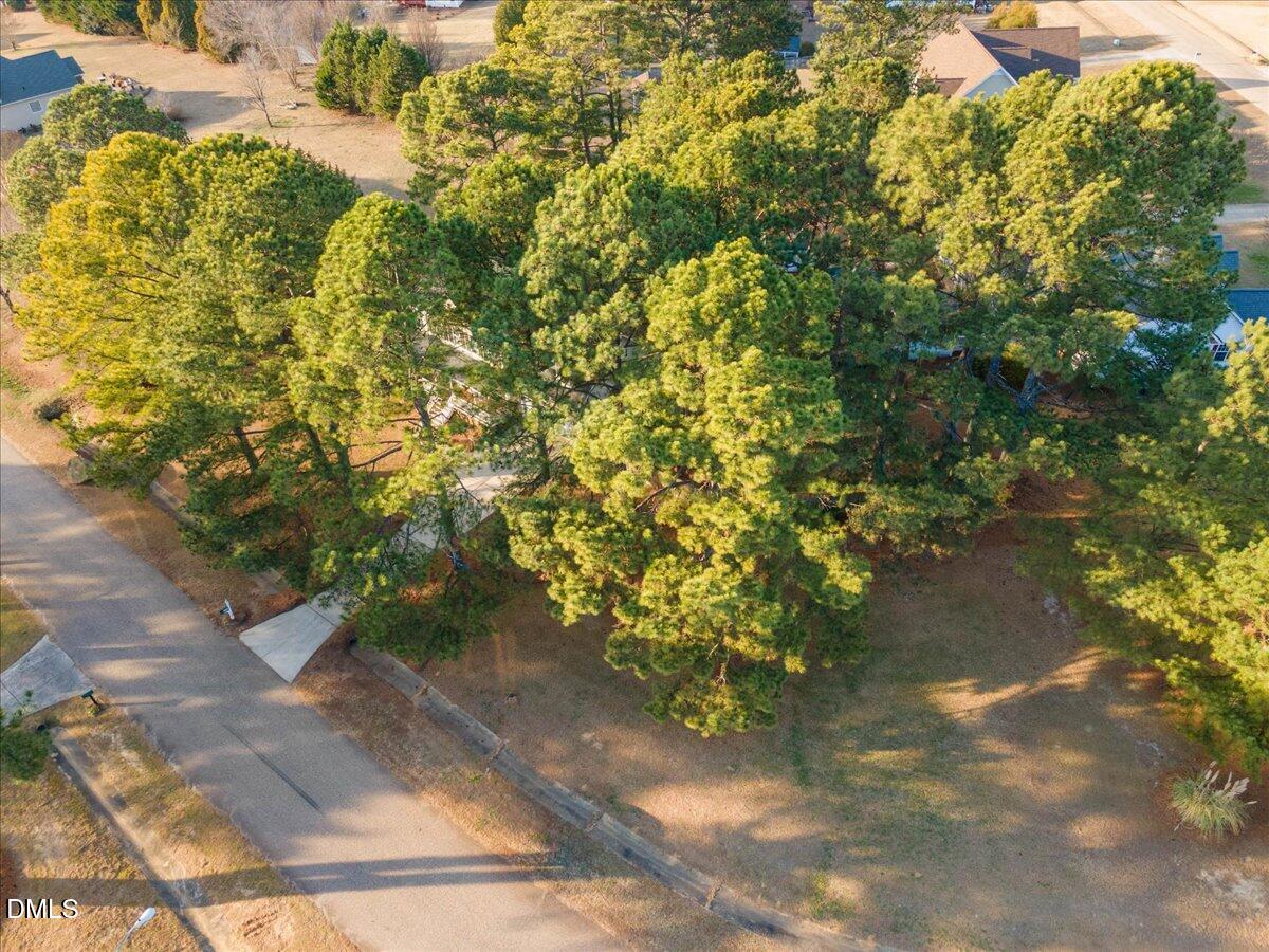6512 Cablewood Drive Raleigh, NC 27603 - Photo 39 of 41 a view of a garden