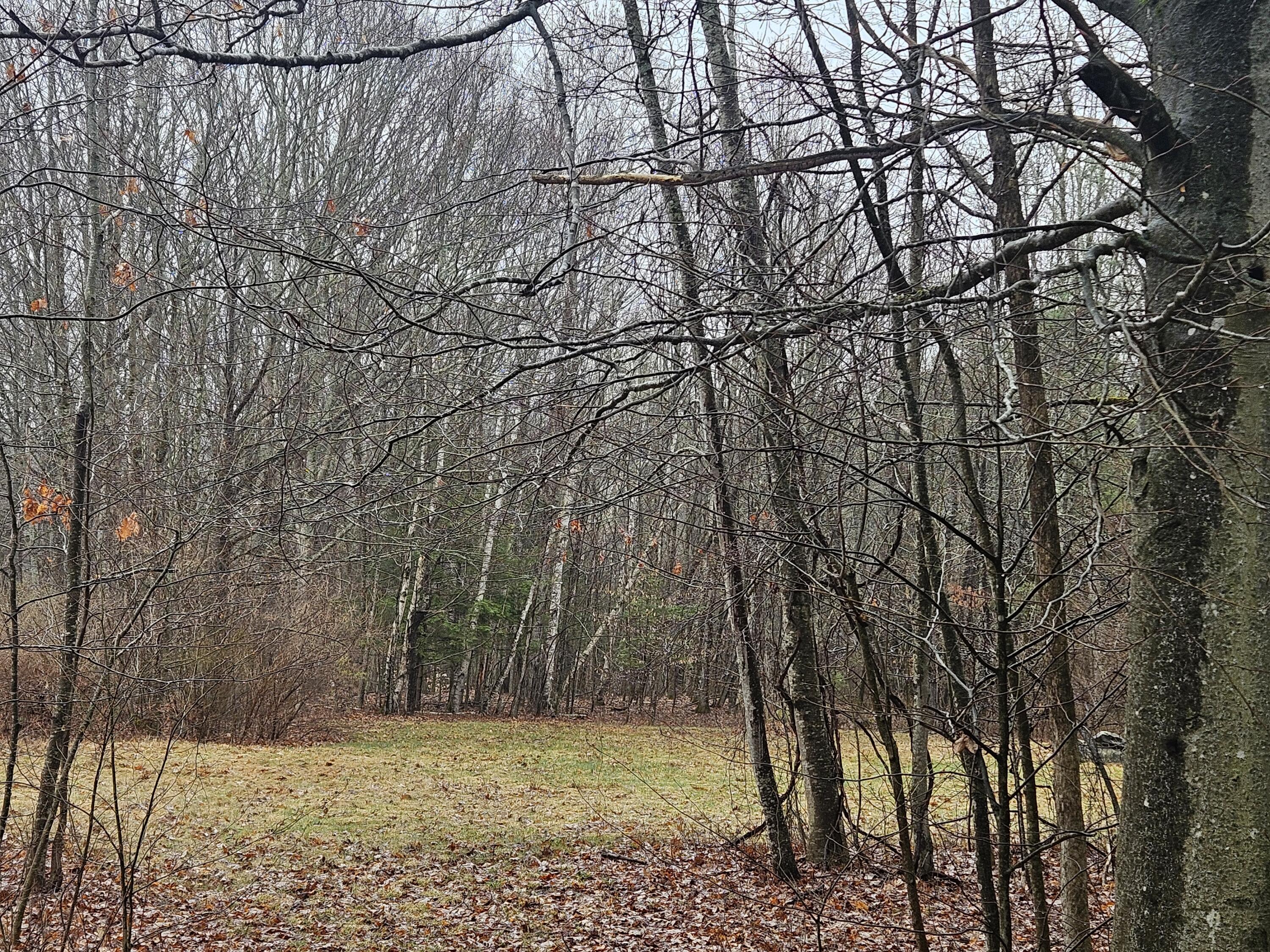 9 Mudget Hill Road Vassalboro, ME 04989 - Photo 2 of 11 Land