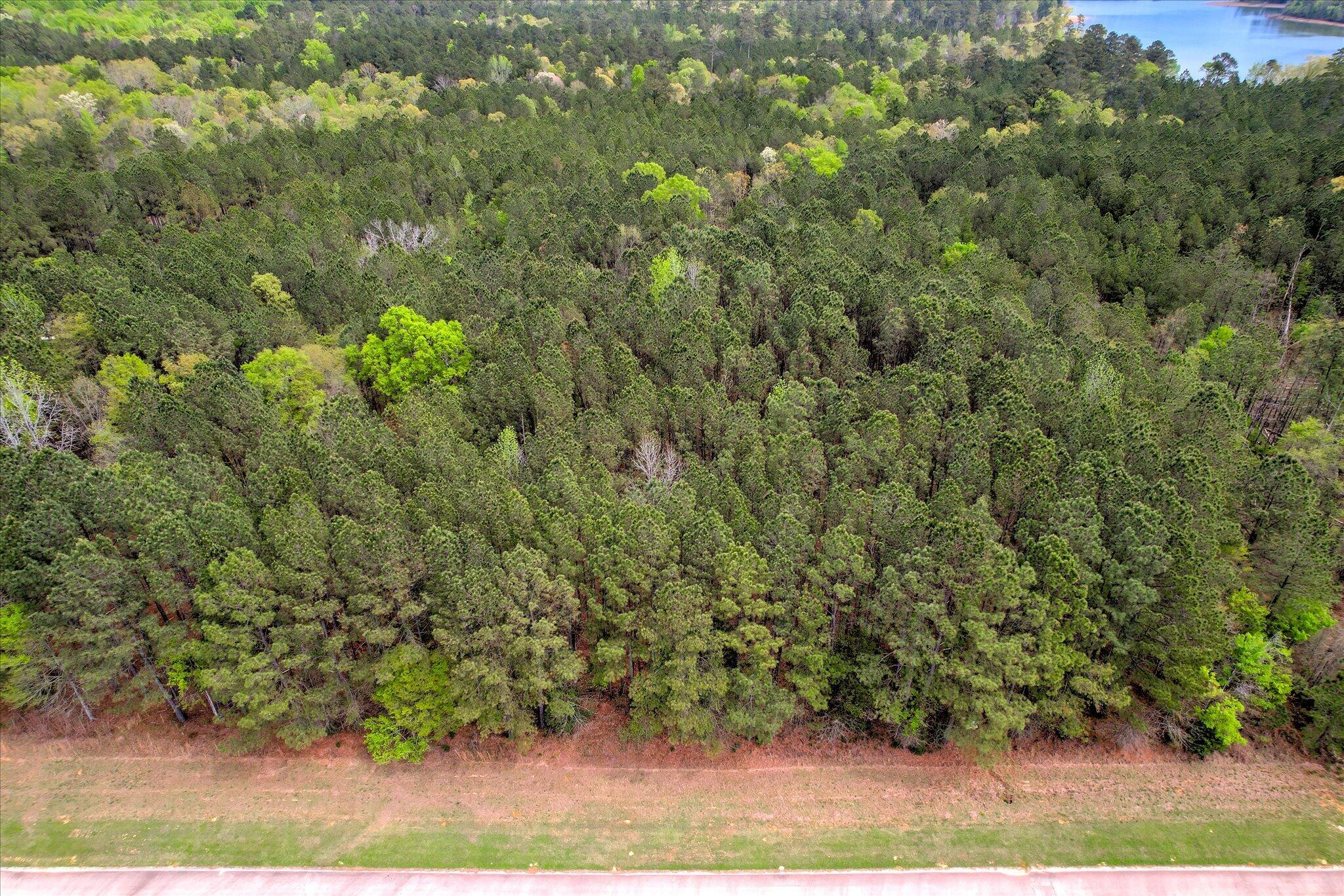 1030 Clinton-Williams Road Lincolnton, GA 30817 - Photo 2 of 5 Lot 5 Ariel