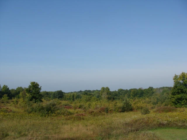 1349 Hayes Road Muir, MI 48860 - Photo 15 of 17 039
