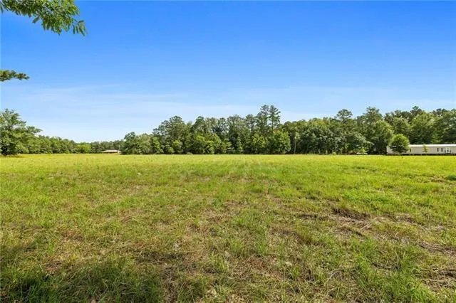 $229,500 | 30235 George White Road, Holden, LA 70744