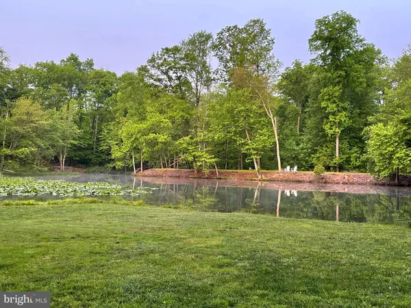 a view of a garden with trees