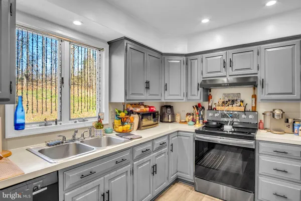 a view of a tree in a yard