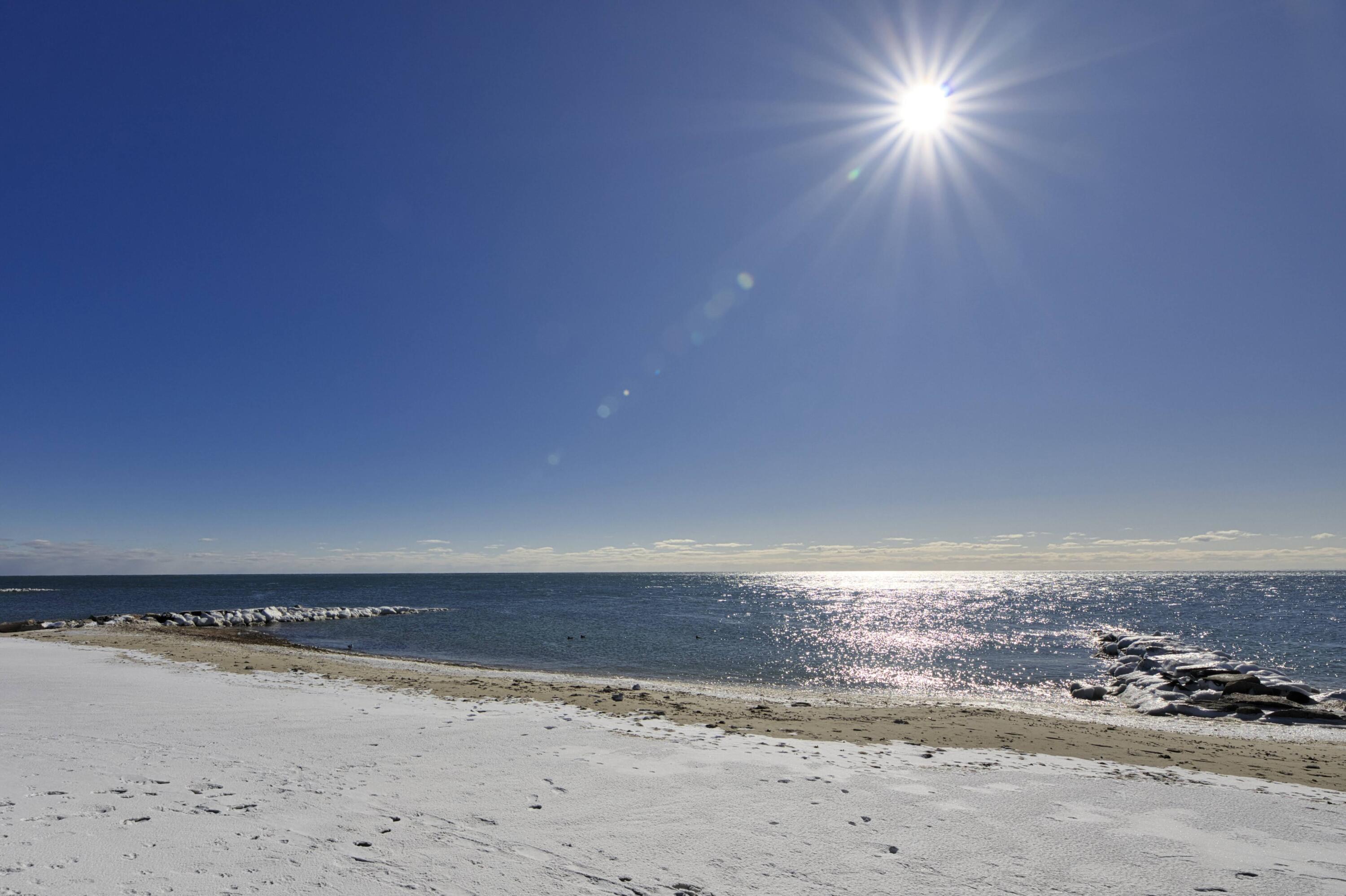 205 Lower County Road, Unit 8 Dennis, MA 02639 - Photo 21 of 22 4T5A4884i