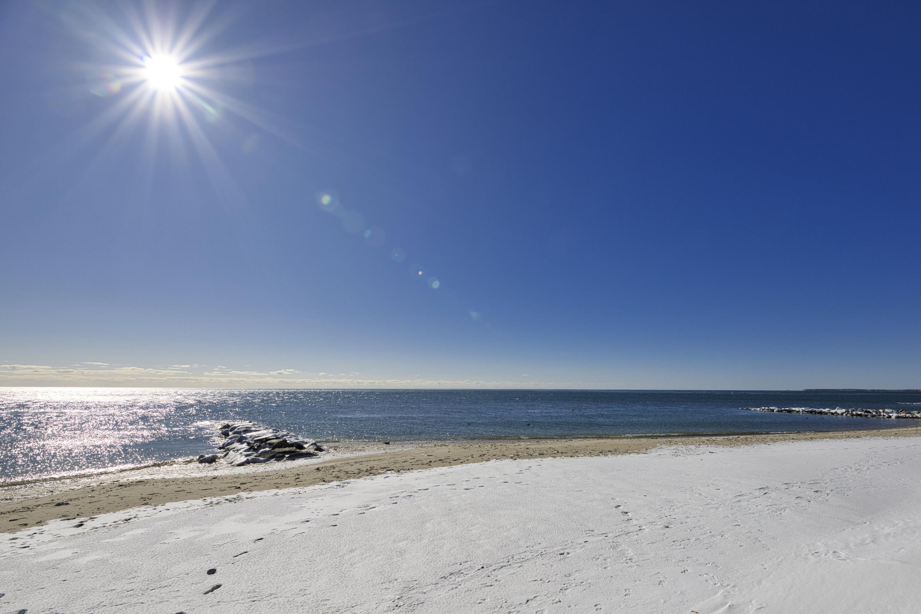 205 Lower County Road, Unit 8 Dennis, MA 02639 - Photo 22 of 22 4T5A4881i