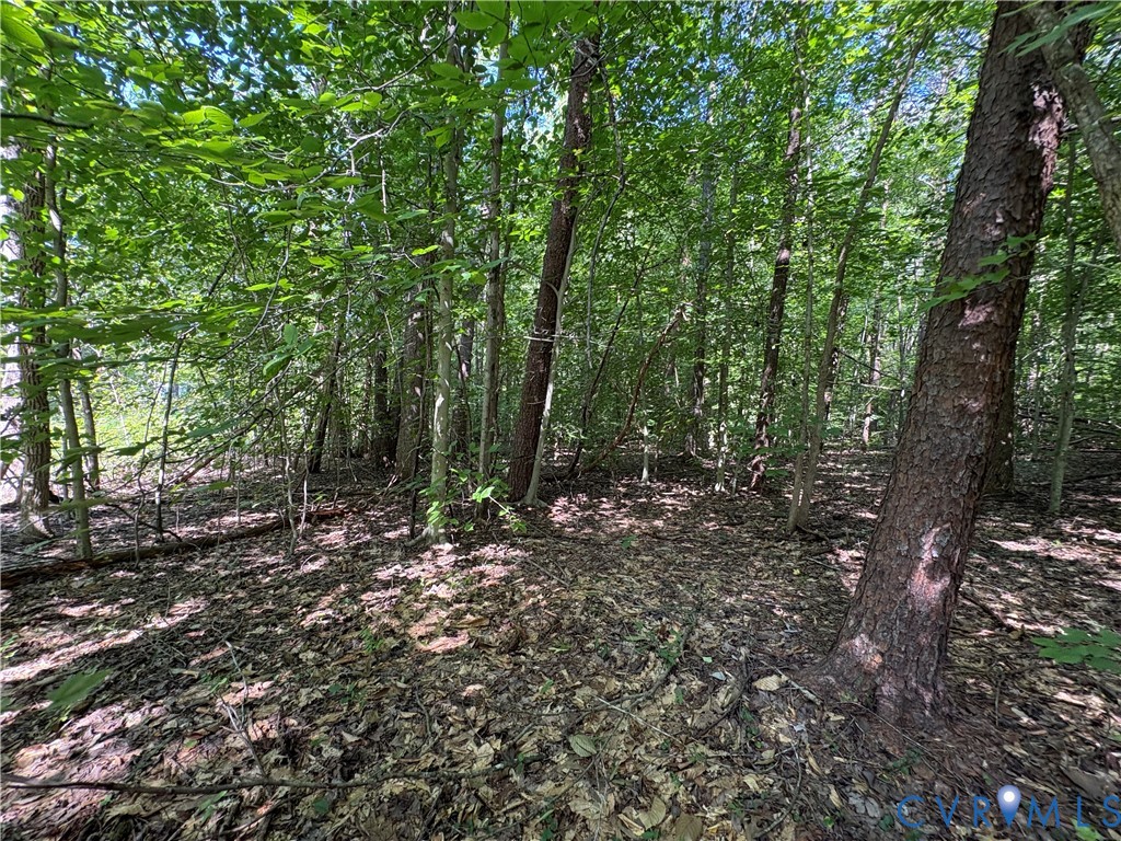 0 Roundabout Road Louisa, VA 23093 - Photo 5 of 7 Gallery Image 5