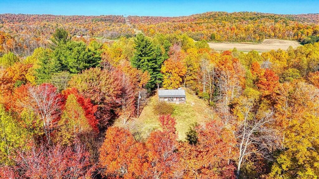 2069 Paugh Road Bainbridge, OH 45612 - Photo 41 of 48 1000022066_22