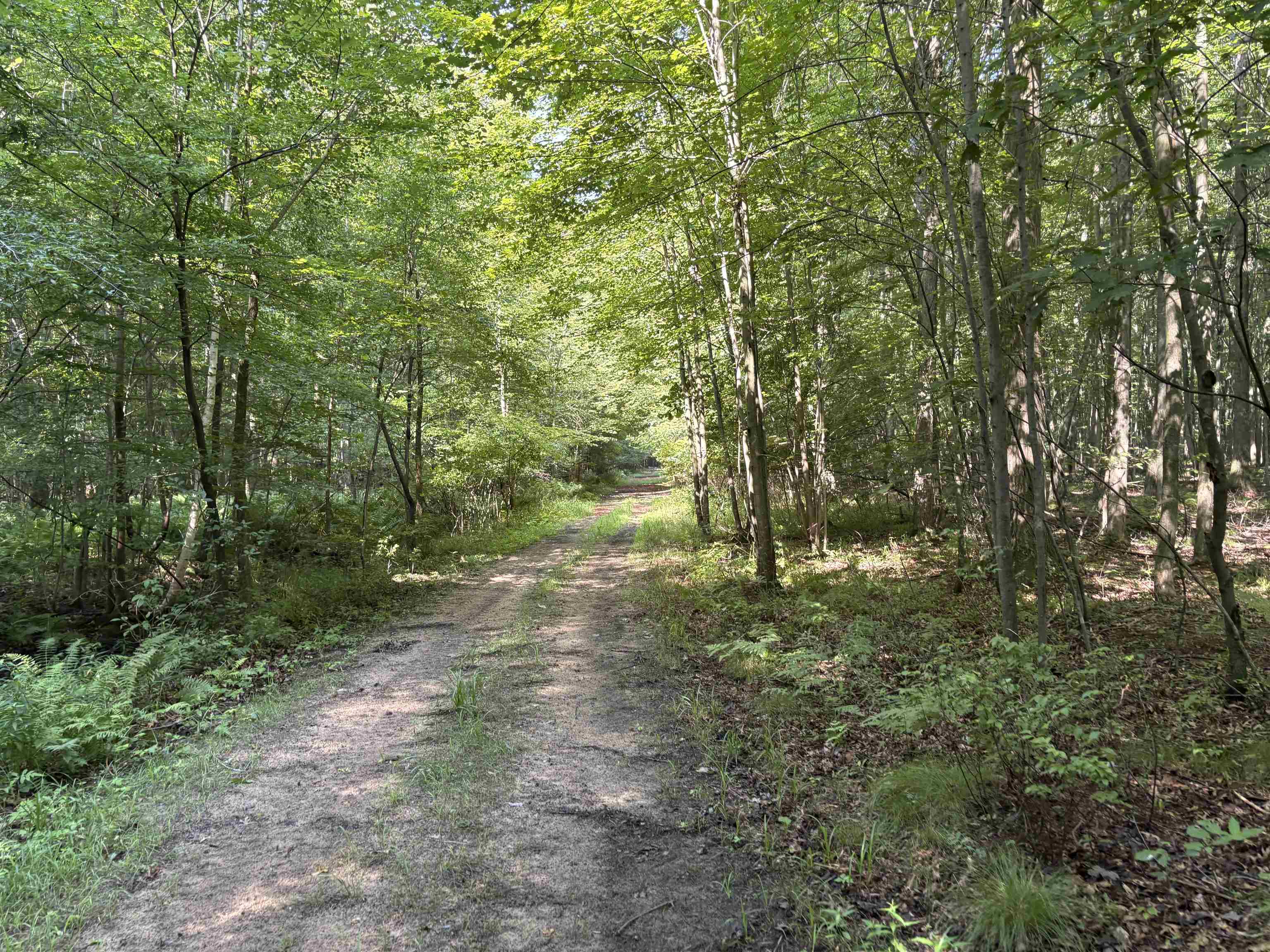 15530 Fowler Road Oakley, MI 48649 - Photo 20 of 29 50192141-dacb34c1-343f-48cf-9dee-ad0c6f279bc1.JPG