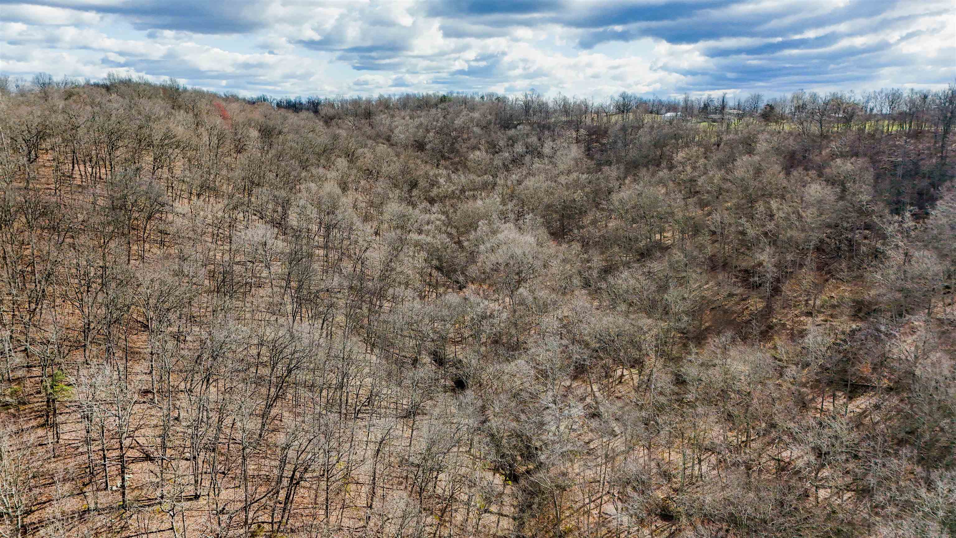 Bowen Creek Road Branchland, WV 25506 - Photo 3 of 14 Gallery Image 3