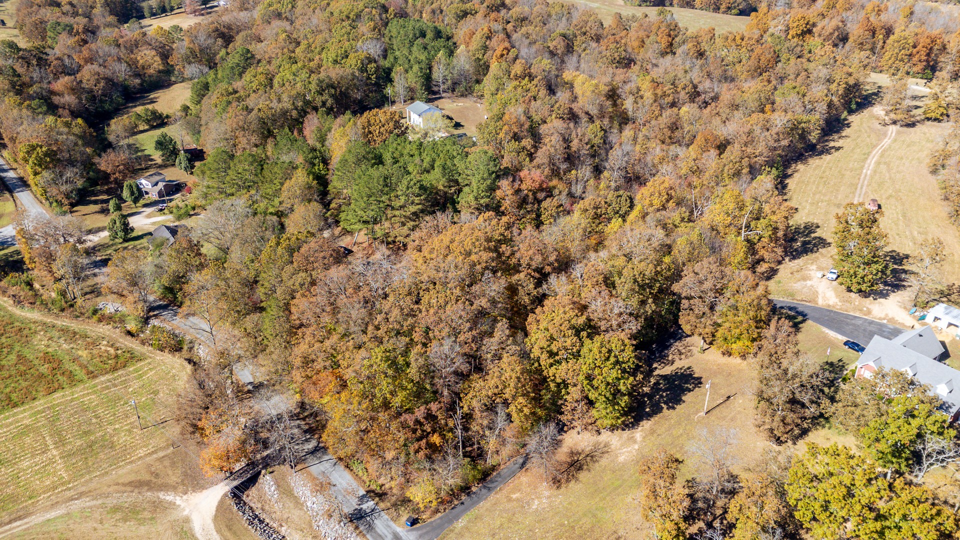 1317 Shawnettee Road Collinwood, TN 38450 - Photo 27 of 45