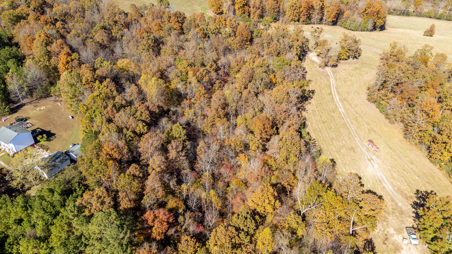 1317 Shawnettee Road Collinwood, TN 38450 - Photo 36 of 45