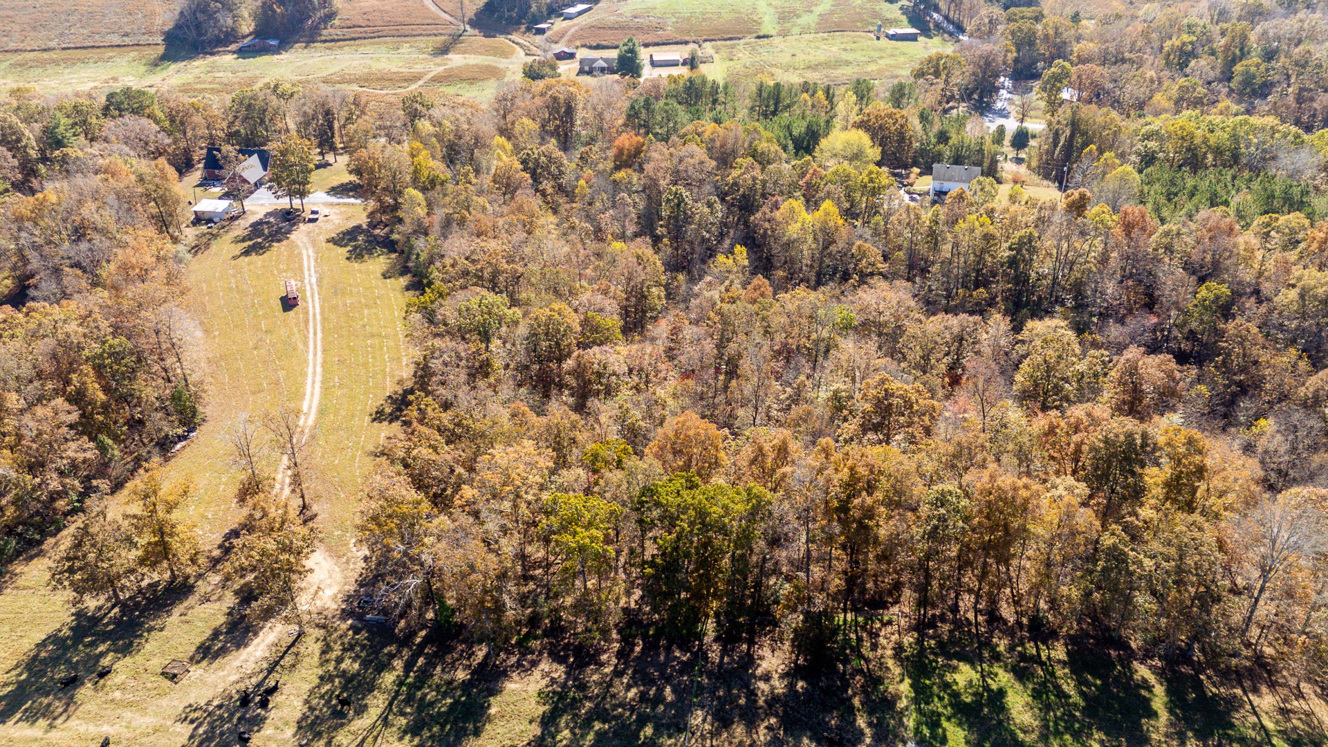 1317 Shawnettee Road Collinwood, TN 38450 - Photo 37 of 45