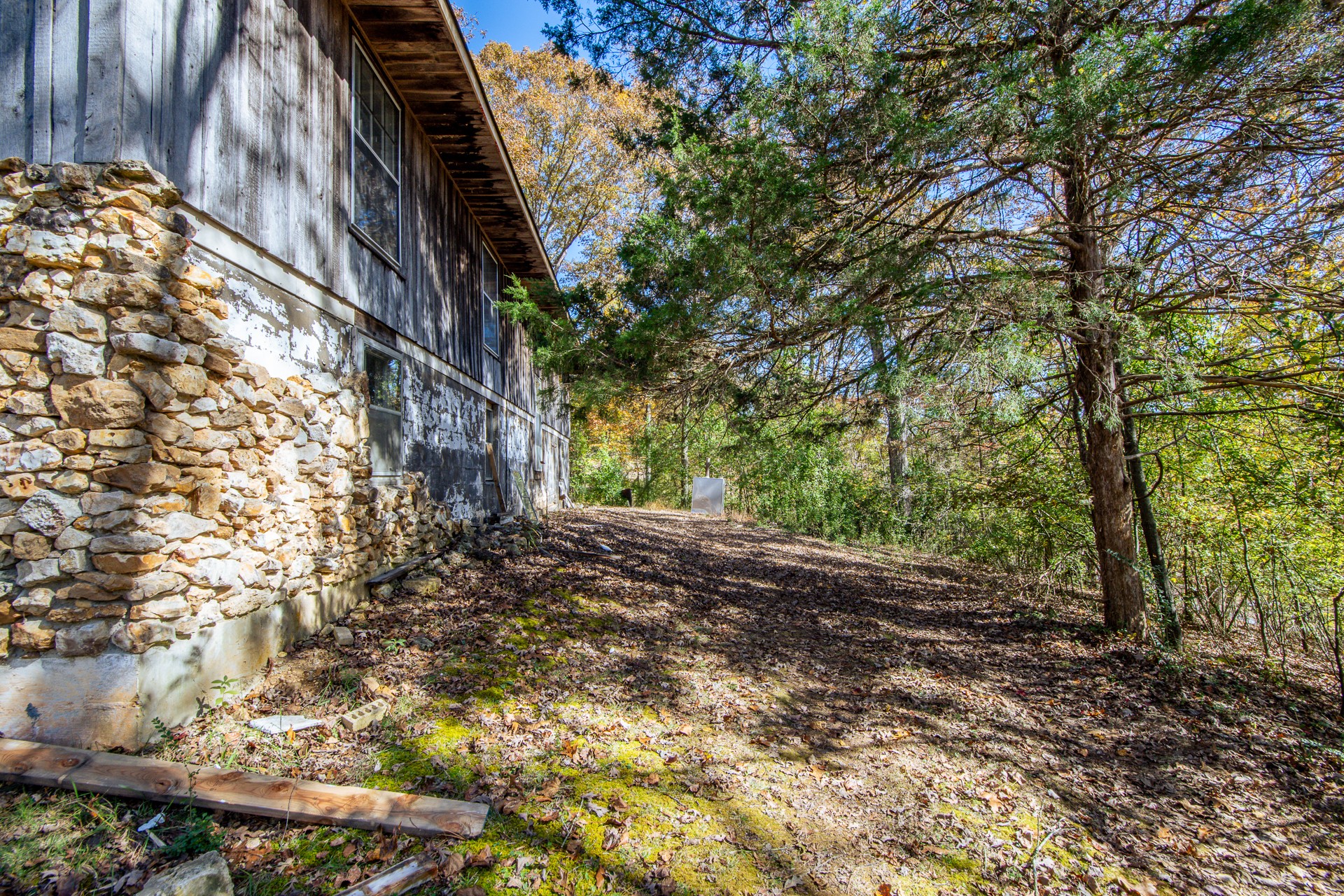 1317 Shawnettee Road Collinwood, TN 38450 - Photo 4 of 45