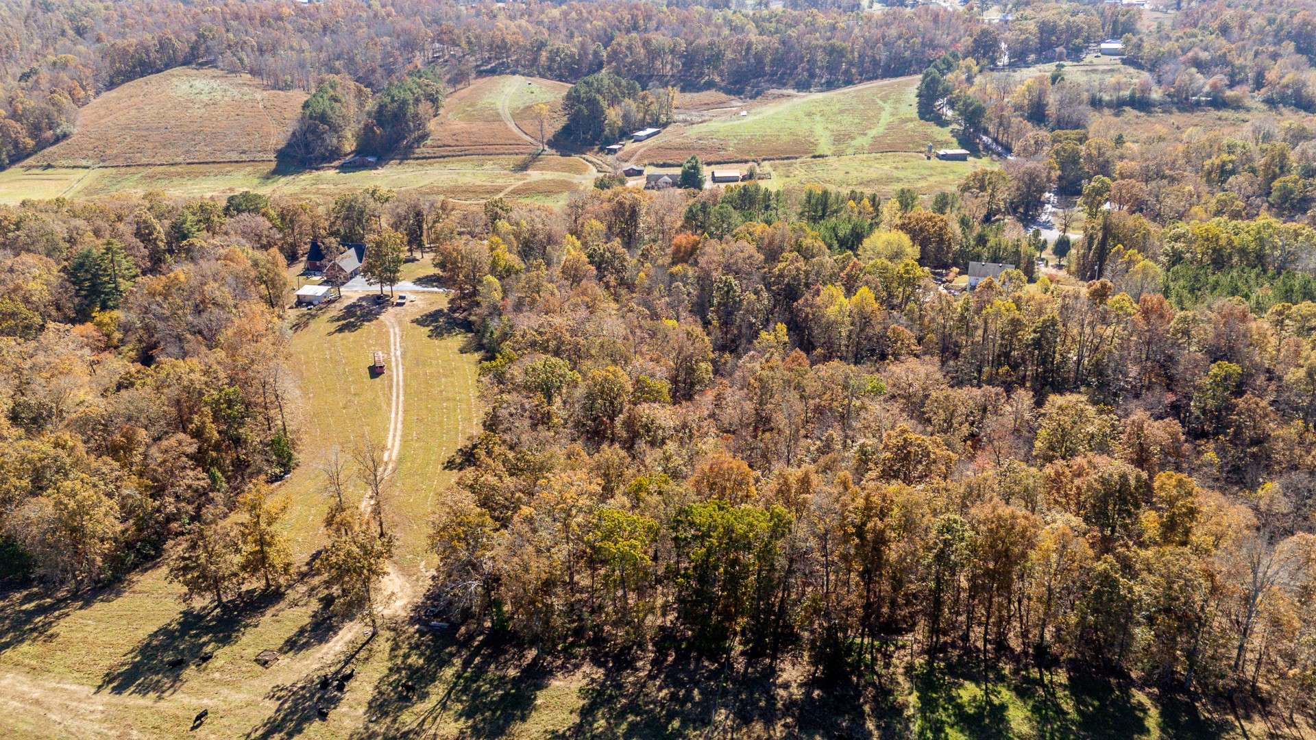 1317 Shawnettee Road Collinwood, TN 38450 - Photo 41 of 45