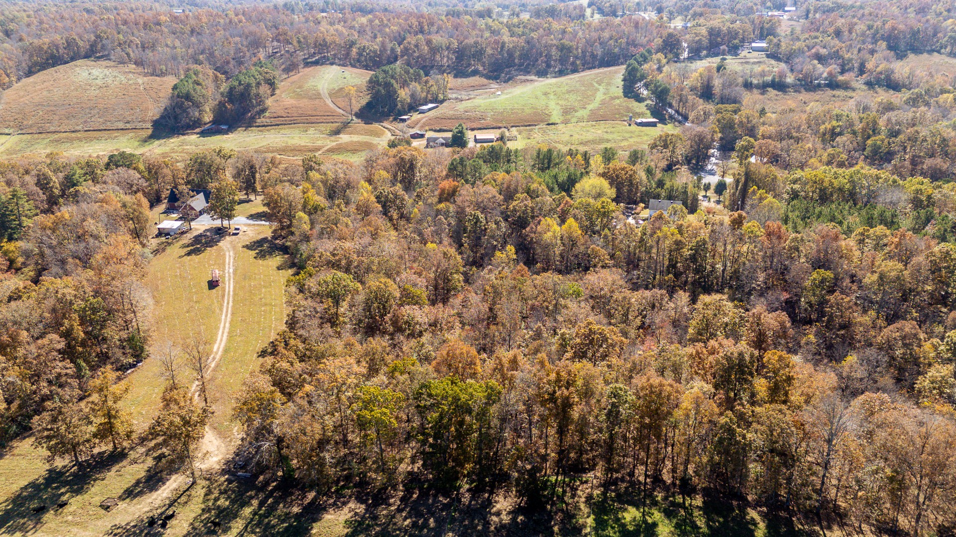 1317 Shawnettee Road Collinwood, TN 38450 - Photo 44 of 45