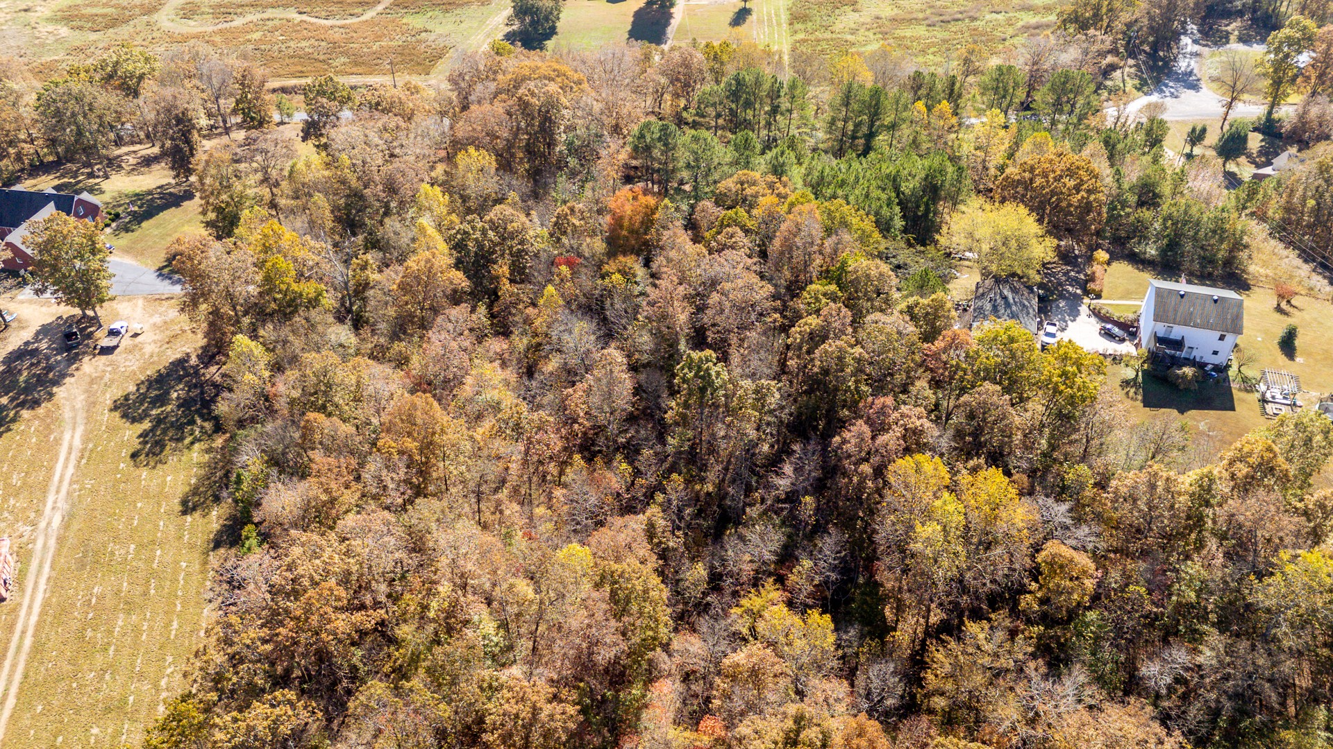 1317 Shawnettee Road Collinwood, TN 38450 - Photo 45 of 45