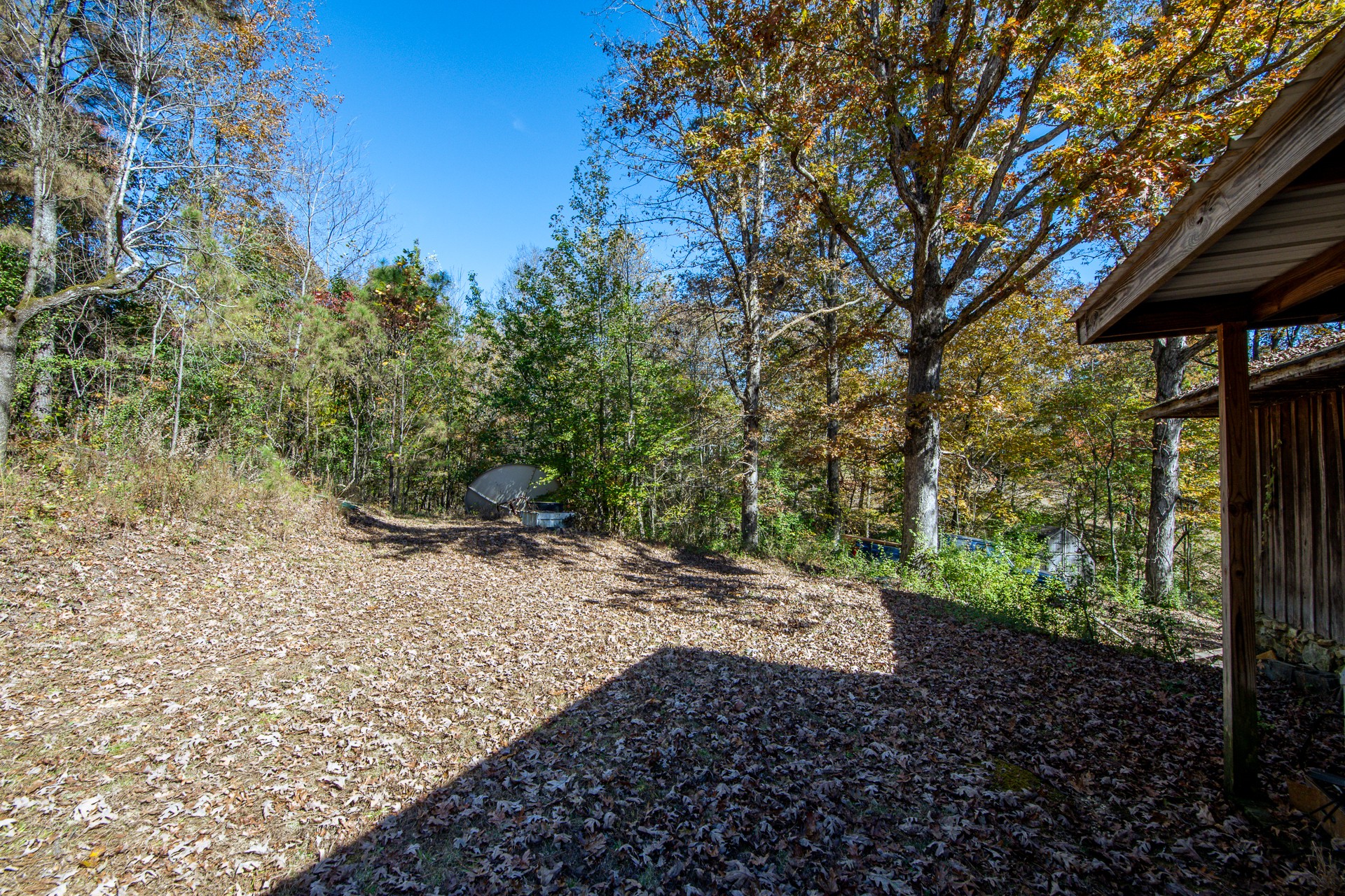 1317 Shawnettee Road Collinwood, TN 38450 - Photo 5 of 45