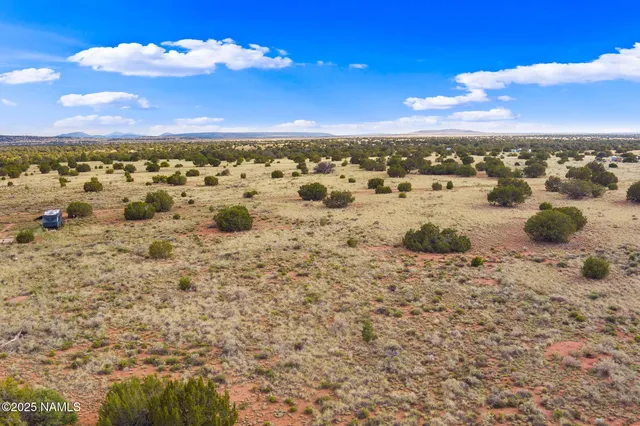 a view of a dry yard with wooden fence