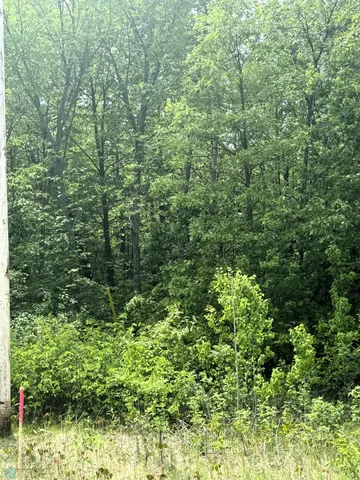 $65,000 | Lot 8-tbd Ponderosa Lane, Waubun, MN 56589