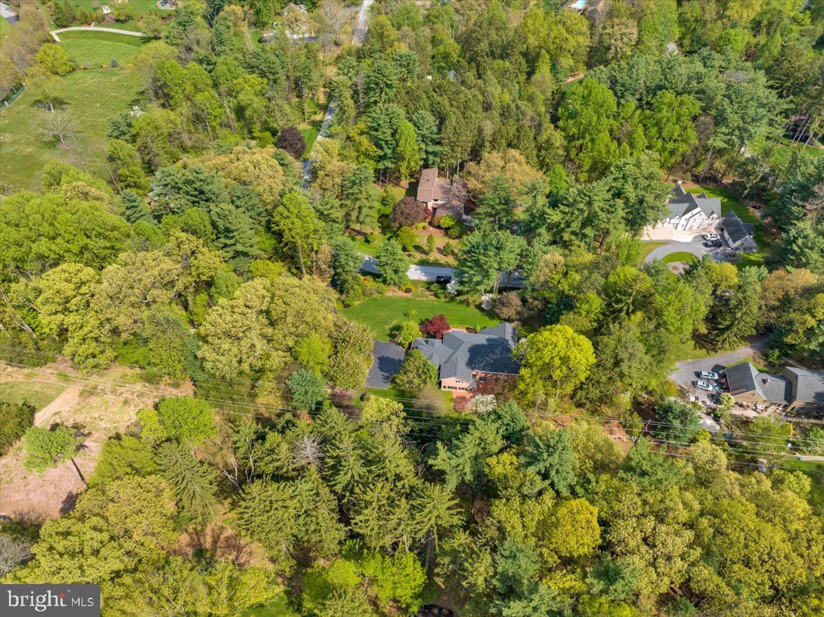 34 Hessian Boulevard Reading, PA 19607 - Photo 65 of 69 a view of a lush green forest with lots of trees