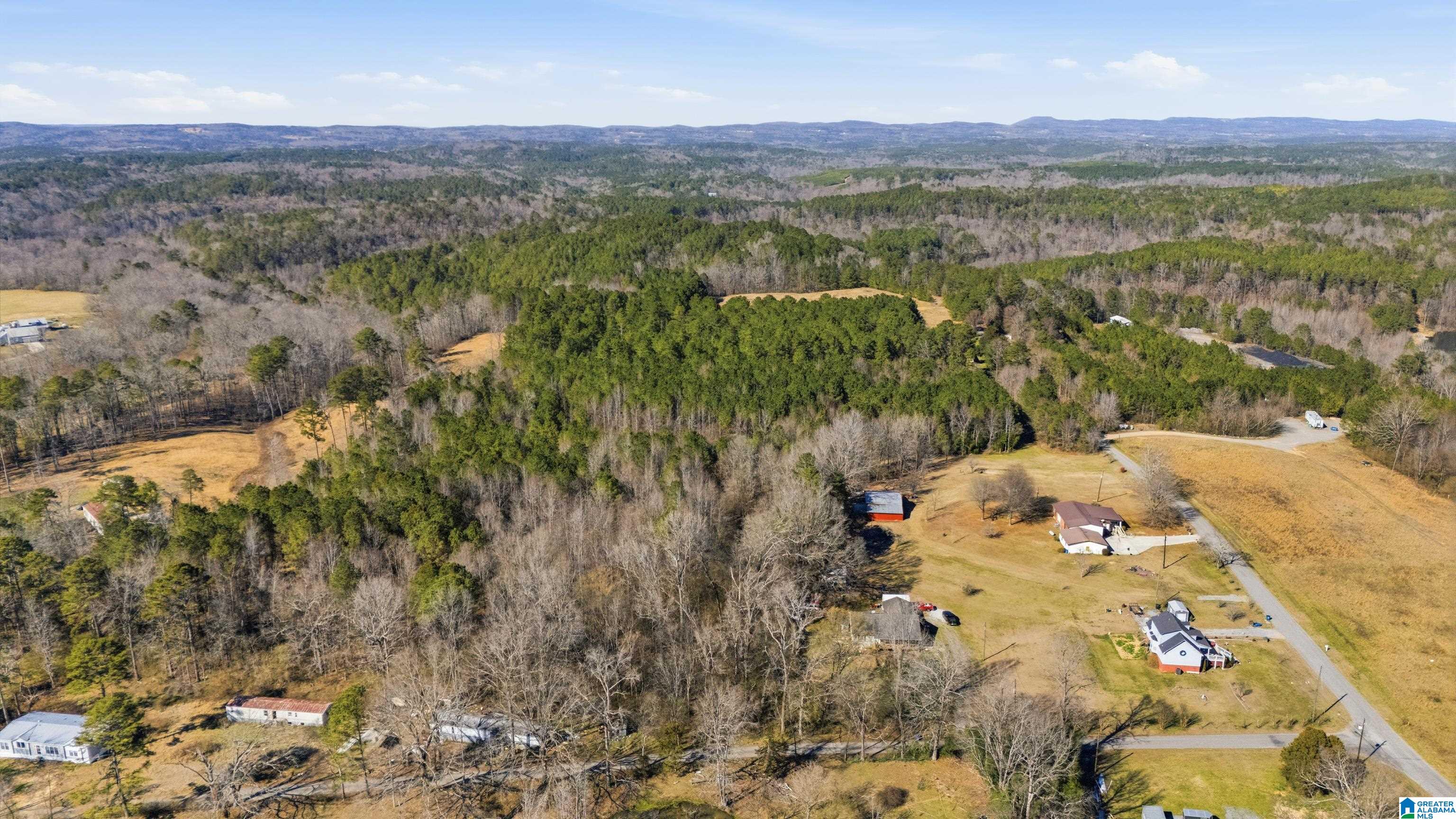 5304 Deans Ferry Road Trafford, AL 35172 - Photo 10 of 14