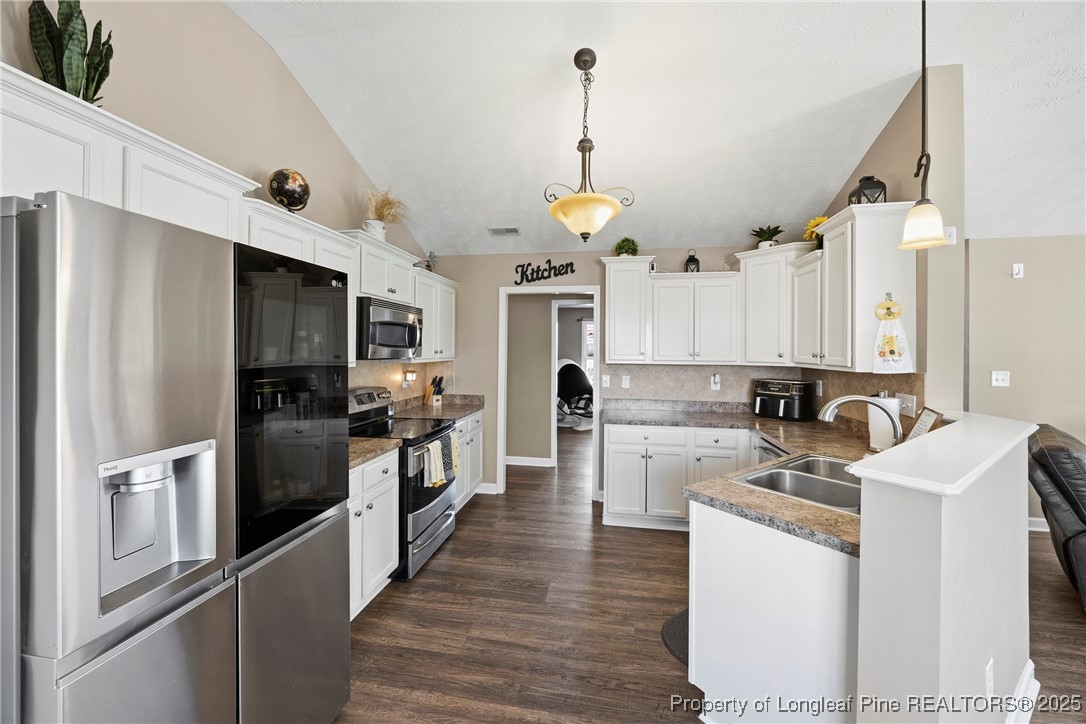 167 Scanner Court Raeford, NC 28376 - Photo 14 of 38