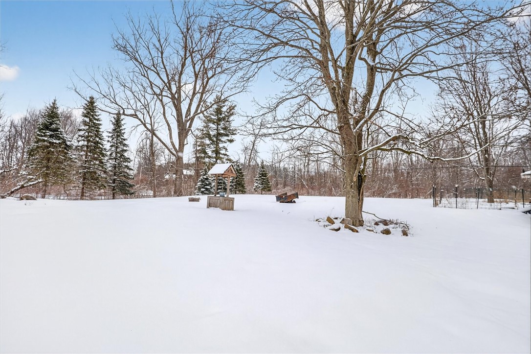 8751 West Canal Road Sweden, NY 14420 - Photo 4 of 35 Side yard