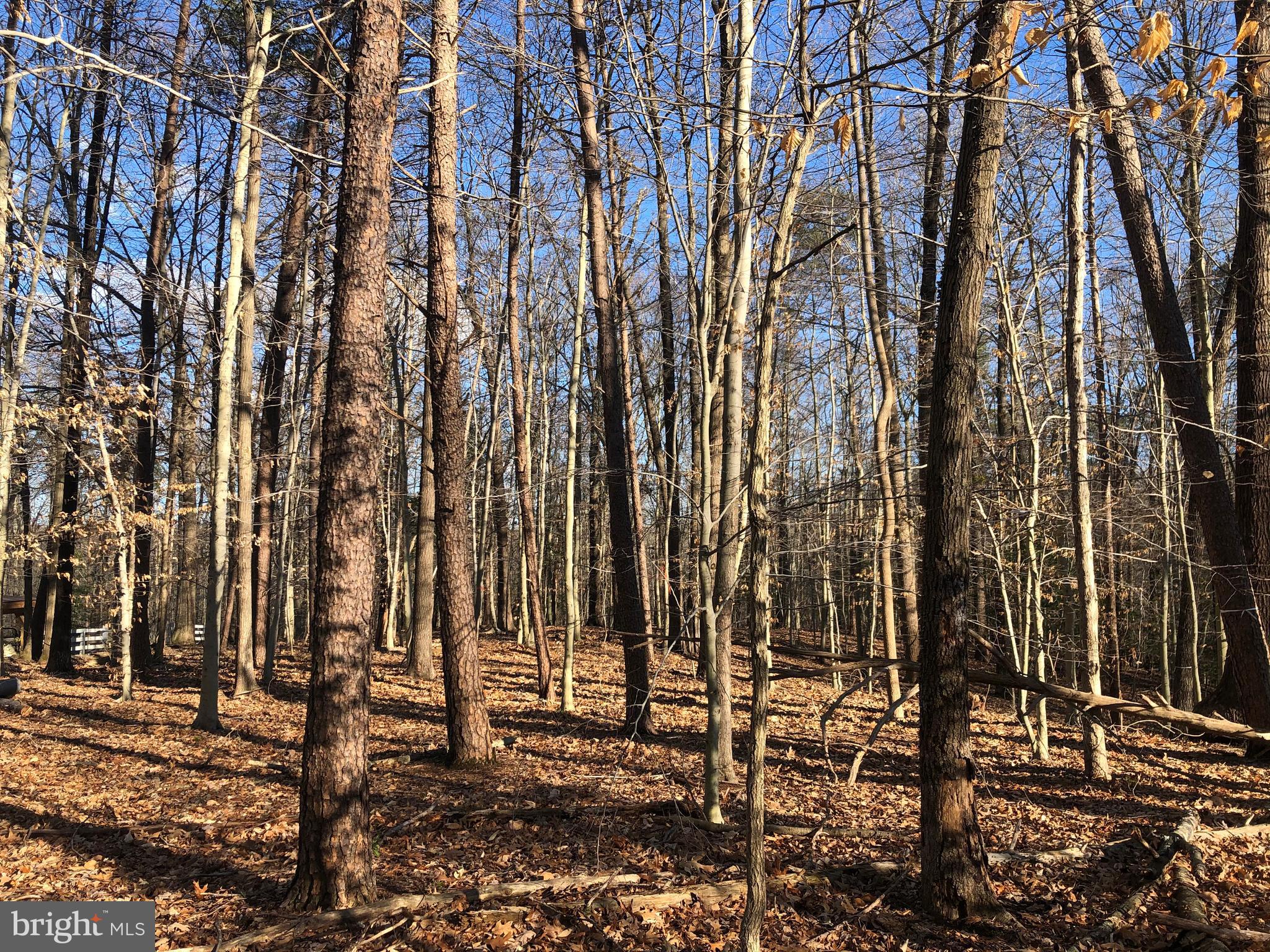 Cold Point Road Clifton, VA 20124 - Photo 12 of 18 VIEW