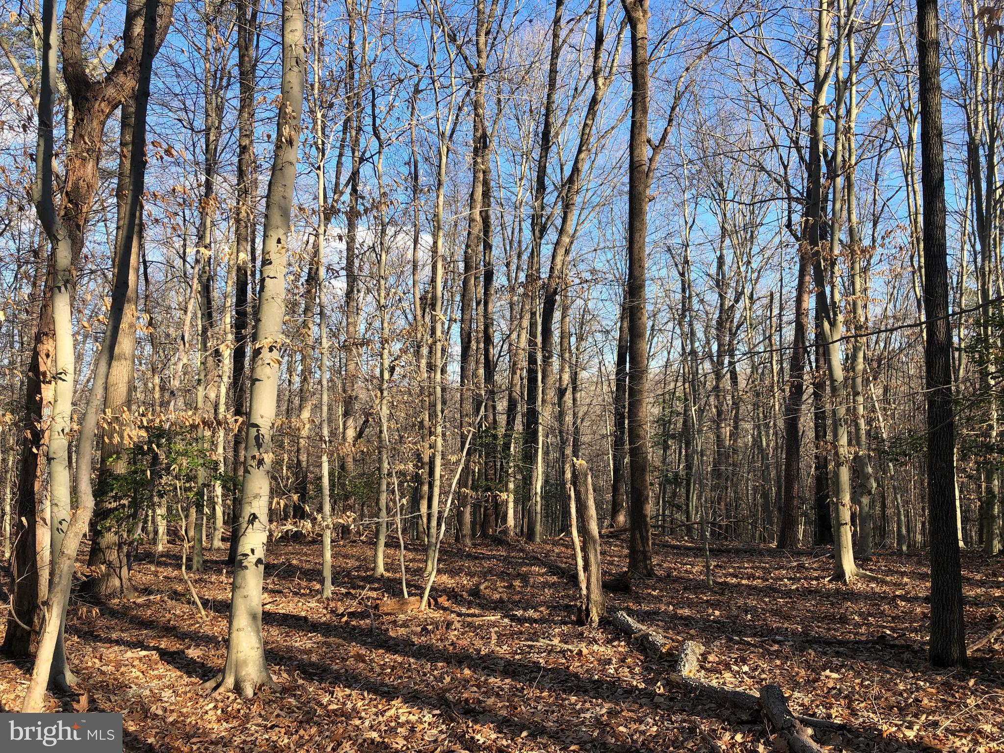 Cold Point Road Clifton, VA 20124 - Photo 14 of 18 VIEW