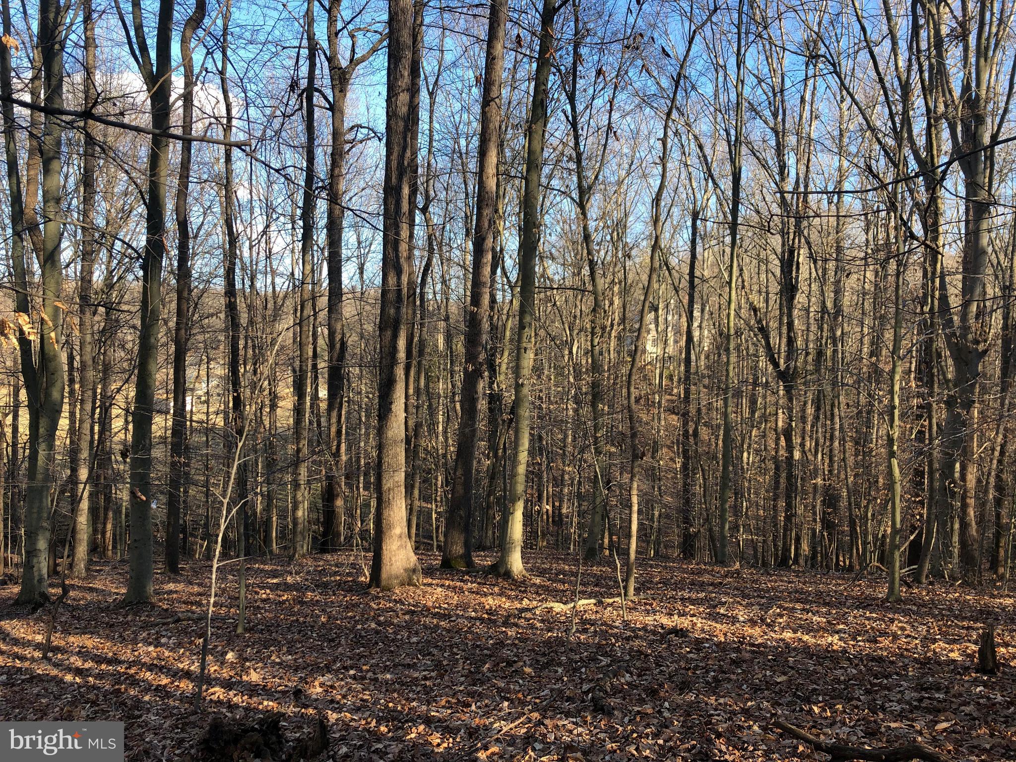 Cold Point Road Clifton, VA 20124 - Photo 15 of 18 VIEW