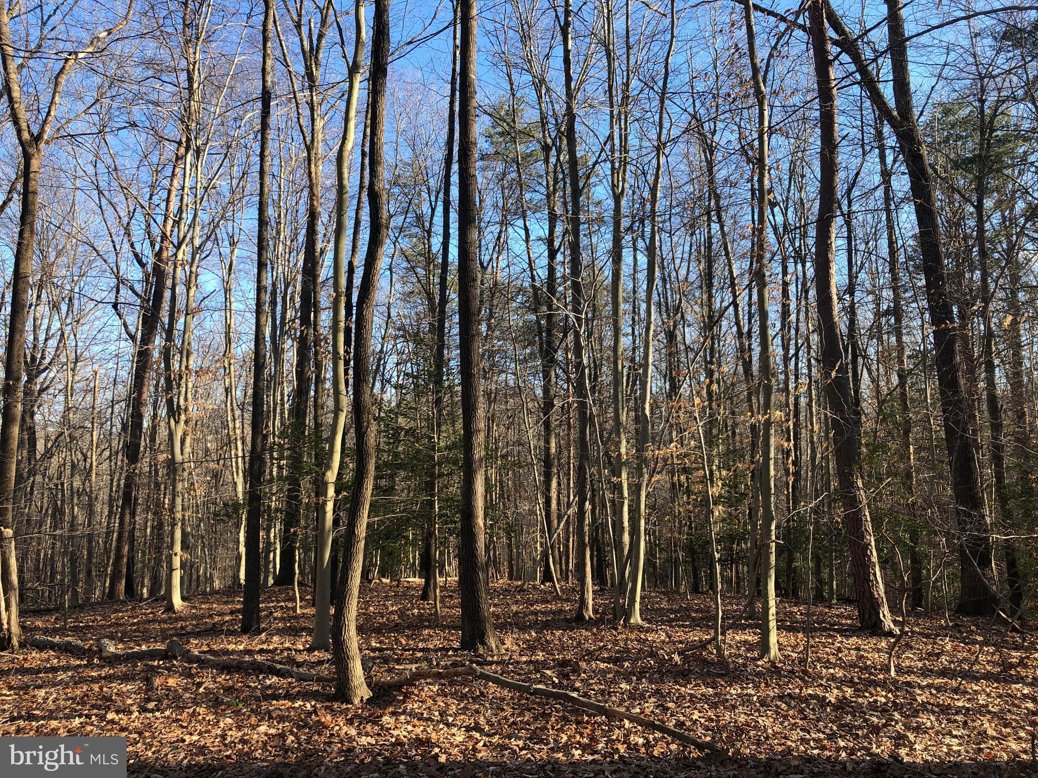 Cold Point Road Clifton, VA 20124 - Photo 16 of 18 VIEW