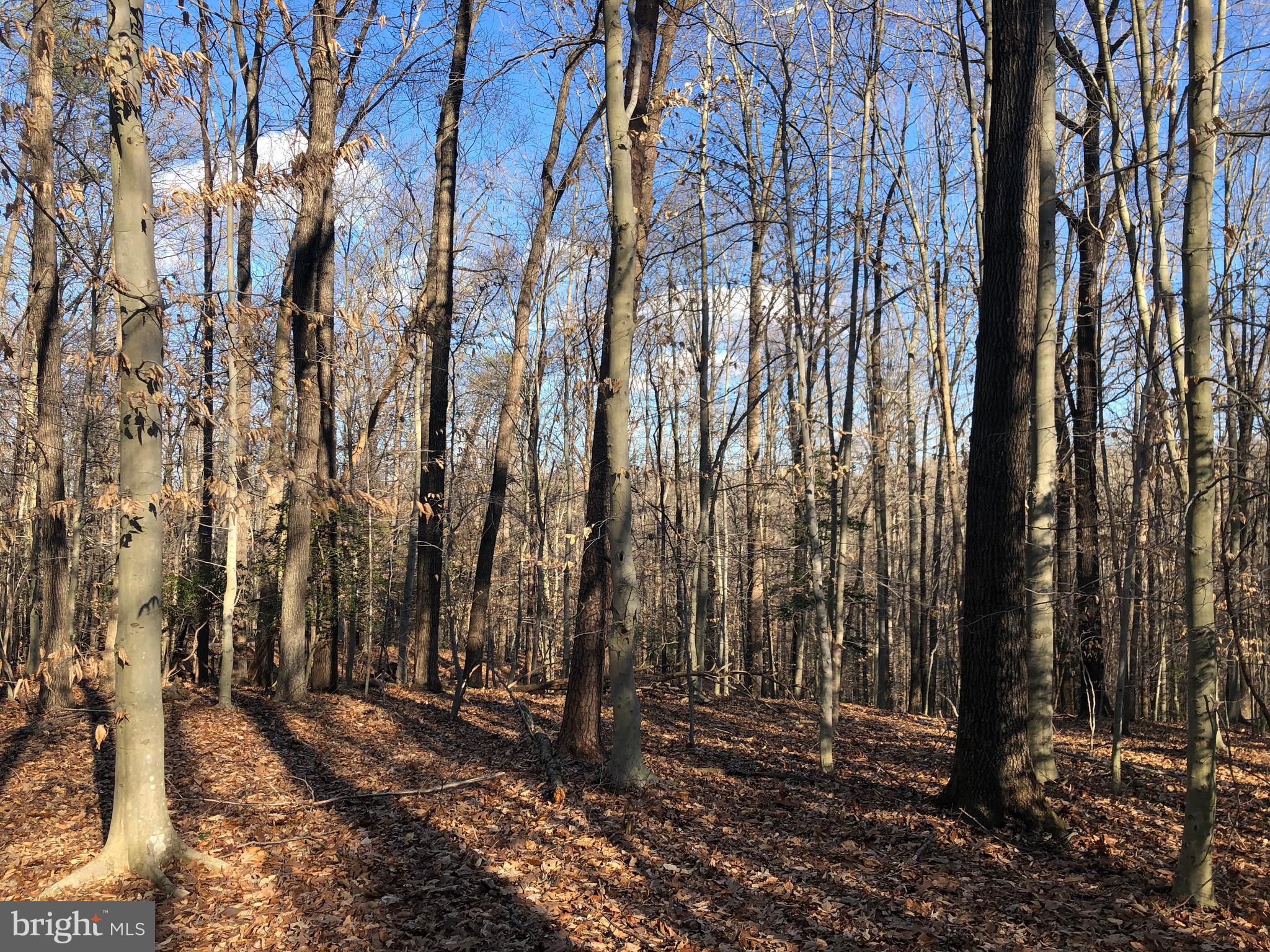 Cold Point Road Clifton, VA 20124 - Photo 7 of 18 VIEW